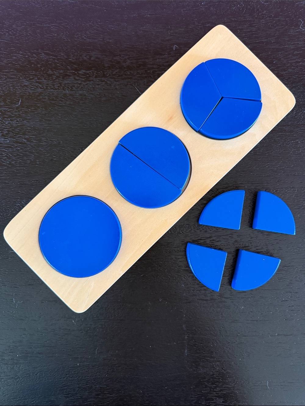 MontiKids Blue Wooden Fraction Puzzle - Set of Circles